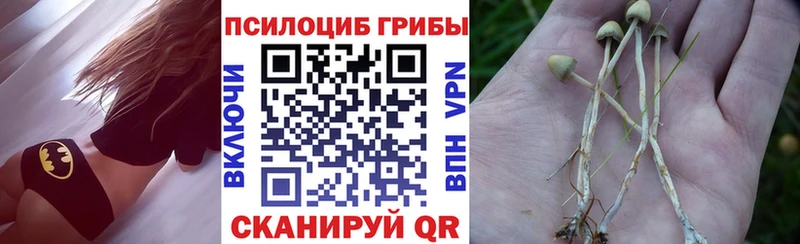 Псилоцибиновые грибы Magic Shrooms  кракен ССЫЛКА  Спас-Деменск  хочу наркоту 